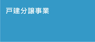 戸建分譲住宅