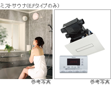 �~�X�g�T�E�i